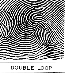 double loop